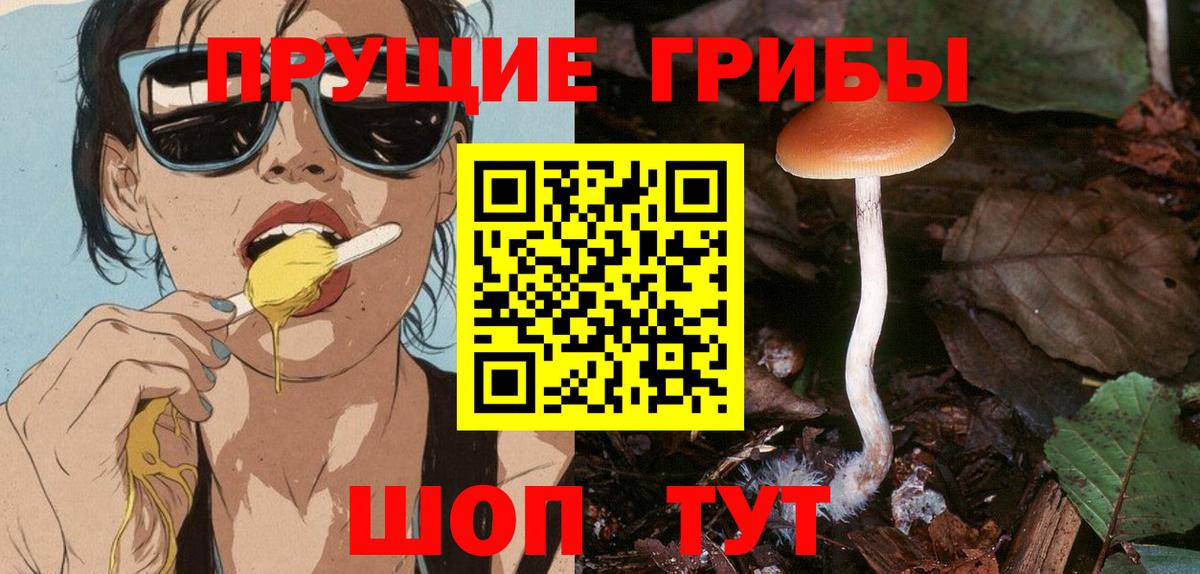 Галлюциногенные грибы прущие грибы Углич